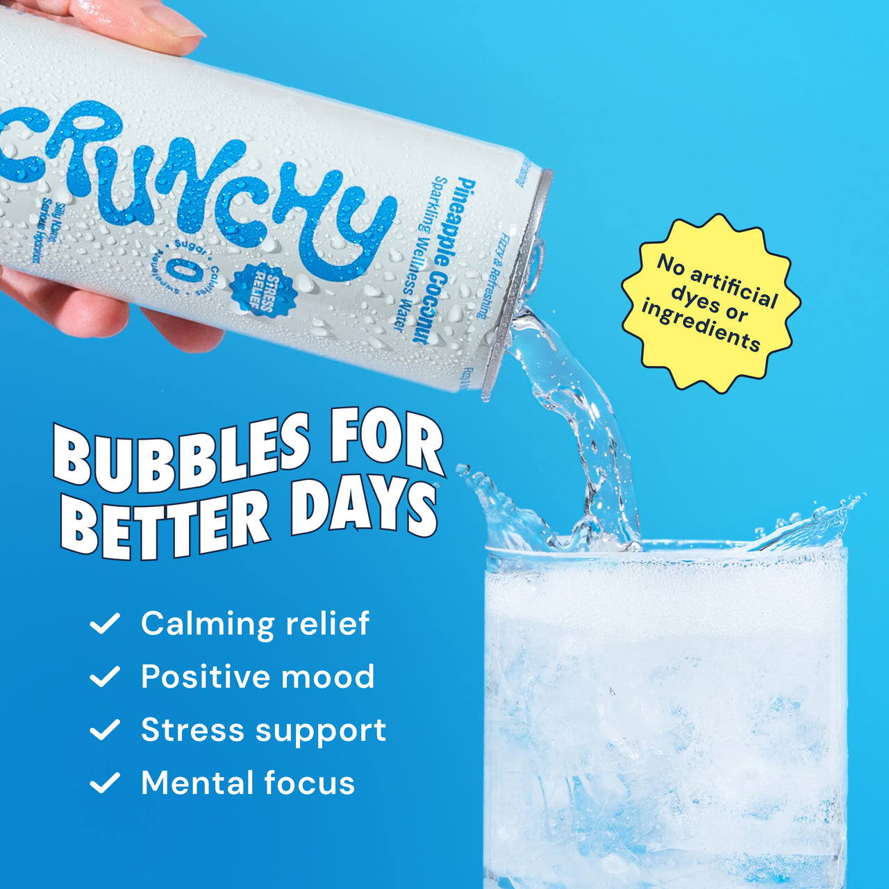 Pineapple Coconut - 12 Cans